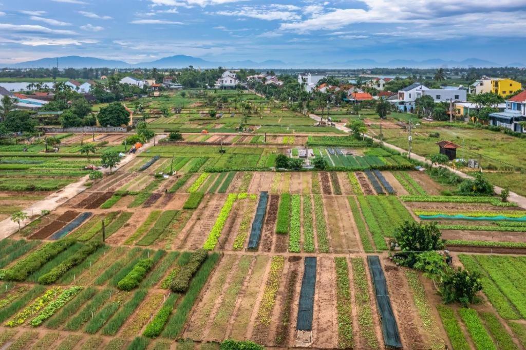 Ha My Beachside Villa Hoi An Ha Bang 외부 사진